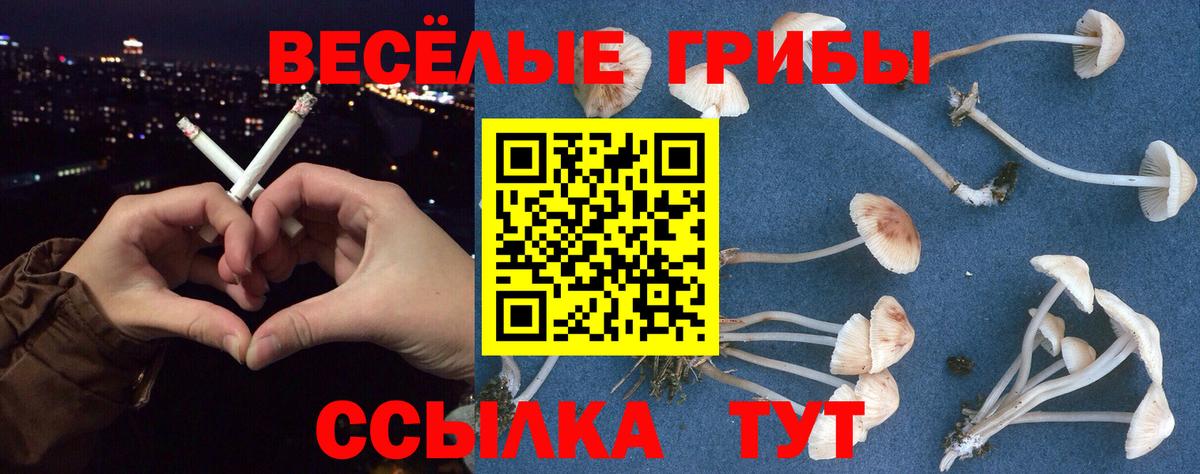 Галлюциногенные грибы Magic Shrooms  Вход с VPN  Галлюциногенные грибы Psilocybe  сколько стоит  Северодвинск 