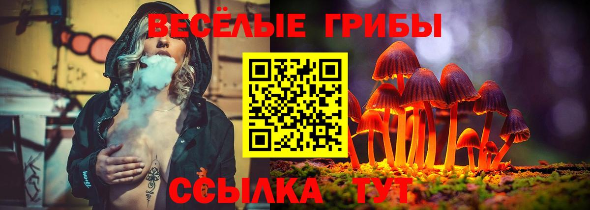 Галлюциногенные грибы Cubensis Северодвинск
